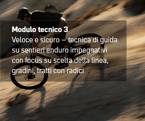 Tecnico 3 bicycle, cyclist, mountain bike, motion blur, race bike